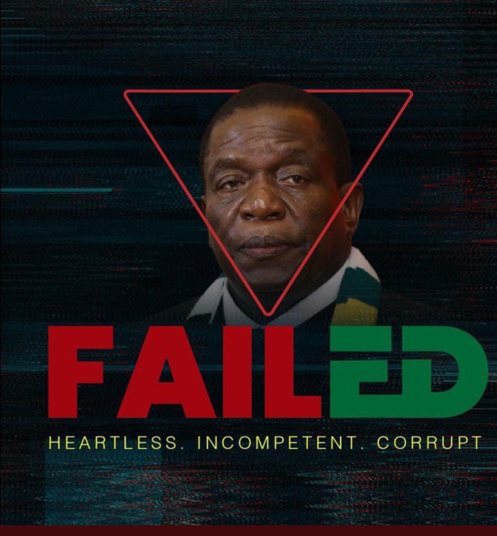 Mnangagwa Failed